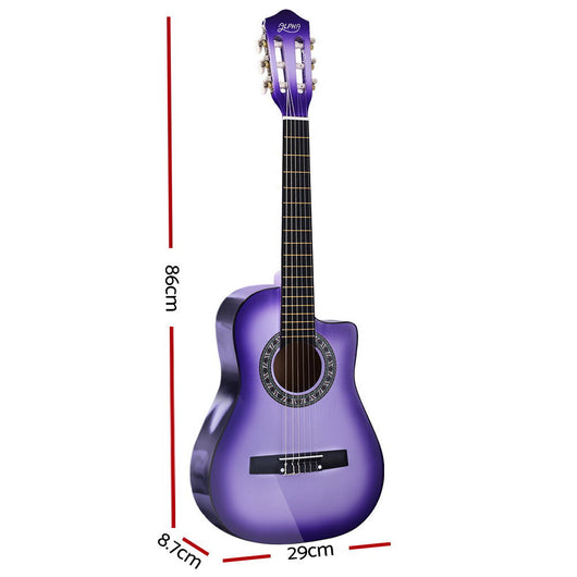 Classical Alpha Guitar Beginner
