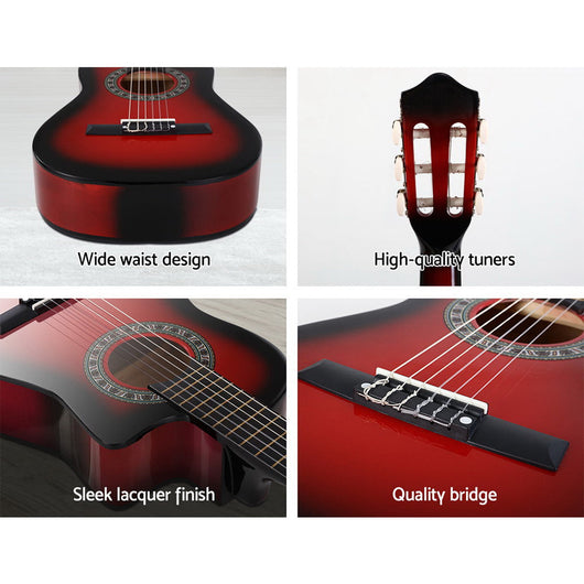 Classical Alpha Guitar Beginner