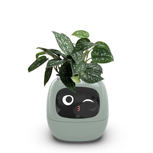 Kids Smart Pot AI Plant Care Green