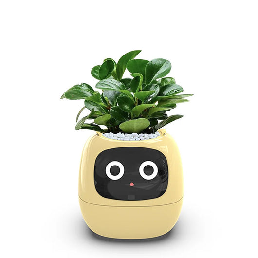 Kids Smart Pot AI Plant Care Yellow