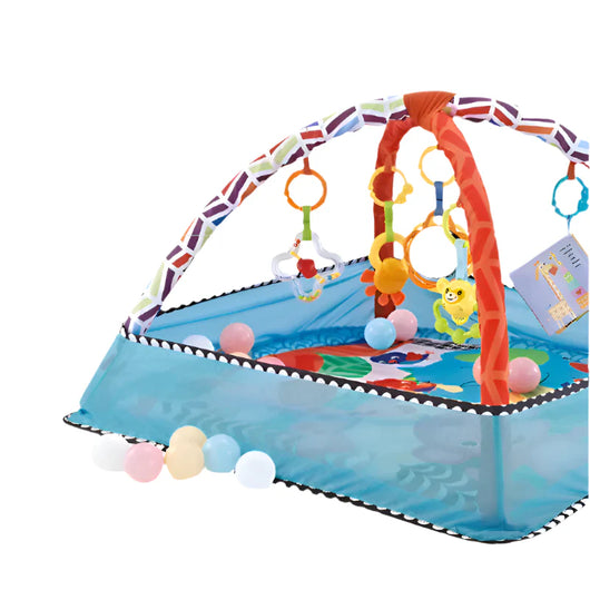 Baby Fitness Frame Play Mat