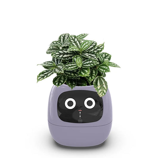 Kids Smart Pot AI Plant Care