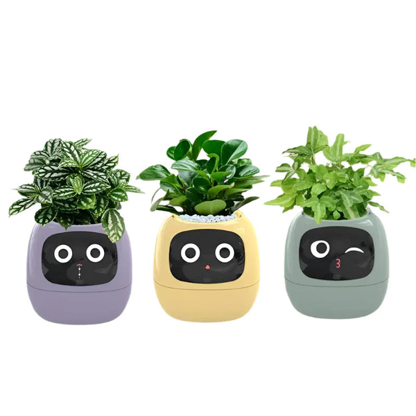 Kids Smart Pot AI Plant Care