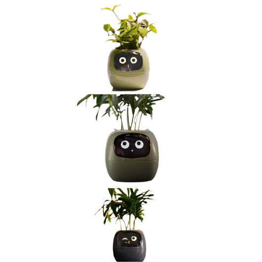 Kids Smart Pot AI Plant Care