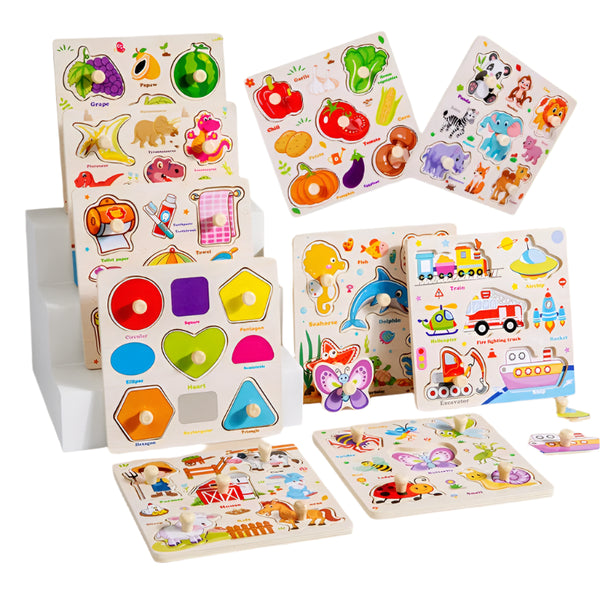 3D Montessori Wooden Puzzle