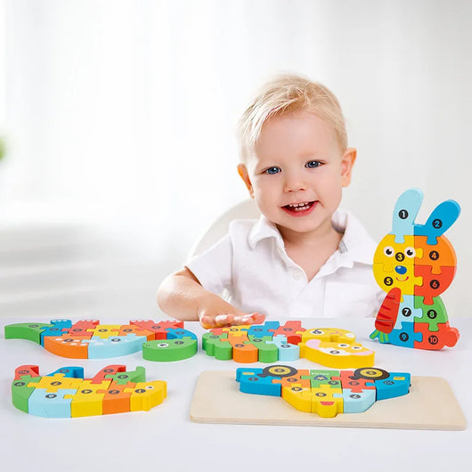 3D Montessori Wooden Puzzle