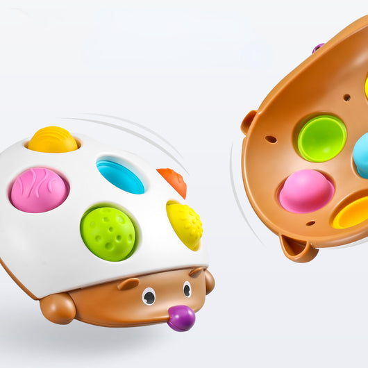 Montessori Baby Press Training Sensory Toy