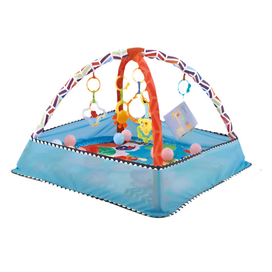 Baby Fitness Frame Play Mat Blue