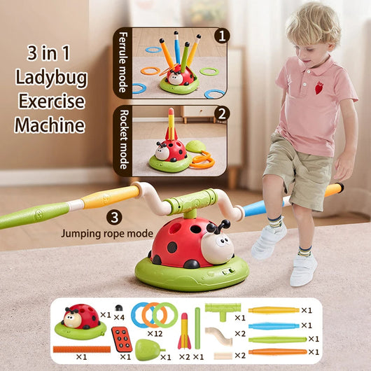 Ladybug Discovery Toy – 3 Skills in 1