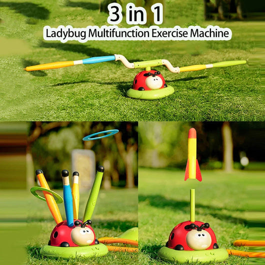 Ladybug Discovery Toy – 3 Skills in 1