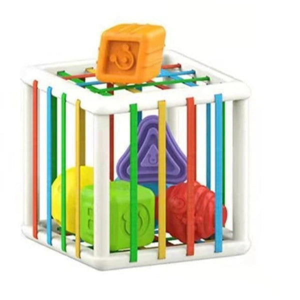 Montessori Colorful Shape Sorting Cube Cube 6 Shapes